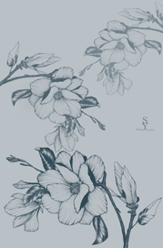 Иллюстрация “Цветы“
