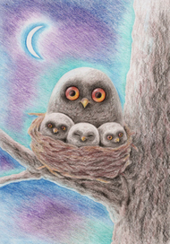 Сова с совятами