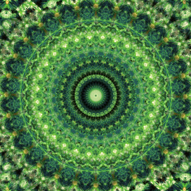 Green Mandala