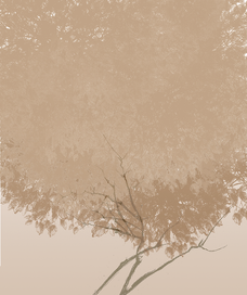 Осенний альбом / 1 /