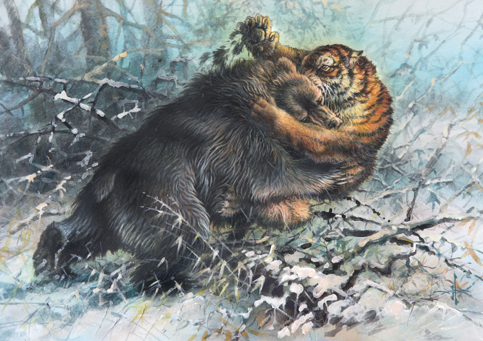 Амба. Схватка.