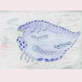 Космическая каракатица