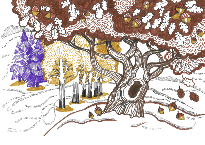 Дуб и другие деревья