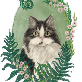 Пушистый друг