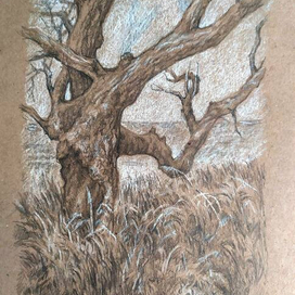 Восточное побережье Северного моря Англии.