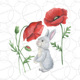 Зайчик и маки