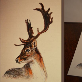 улыбка оленя 