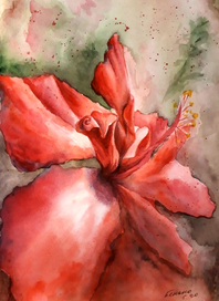 Ботаническая иллюстрация