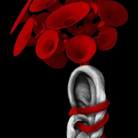 обложка второй вариант