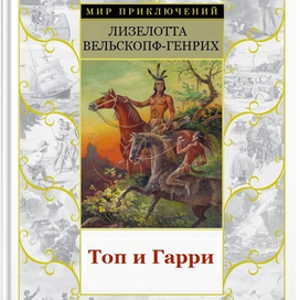 обложка к роману ТОП И ГАРРИ