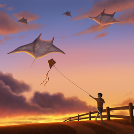 Воздушный змей и скаты