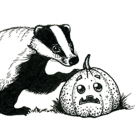 Барсук и тыква