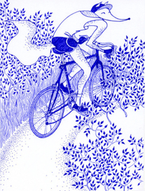 лис медалист