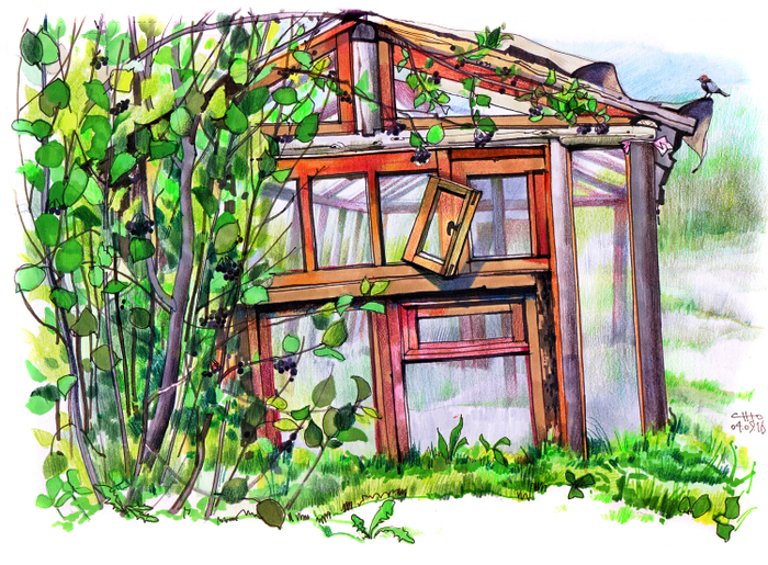 Старая теплица