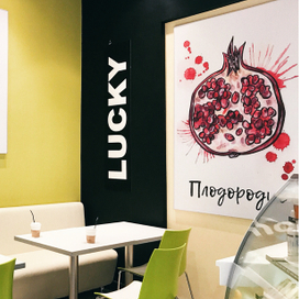 Иллюстрации для аэропорта Кневичи г.Владивостк