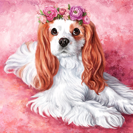 Кавалер Кинг Чарльз Спаниель