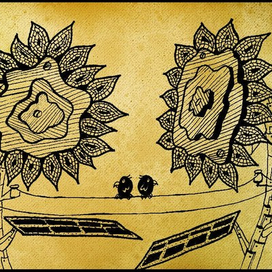 Подсолнухи