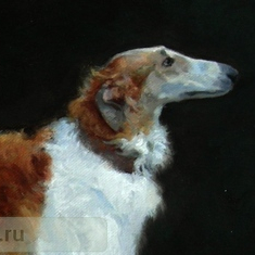 Русская псовая борзая. 