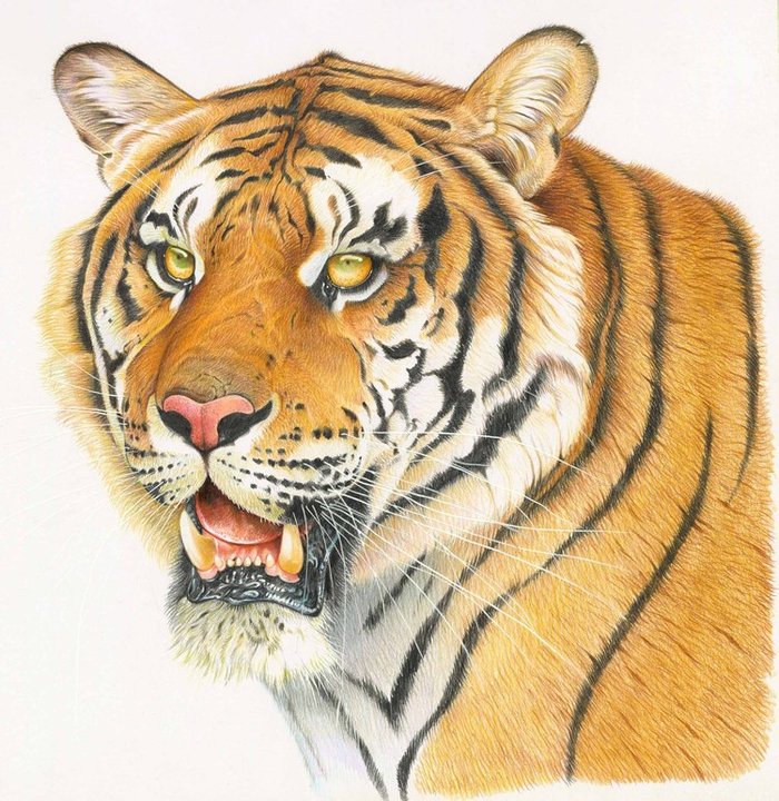 Календарь. Ноябрь