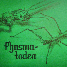 Насекомые. Палочник.