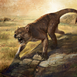 Сумчатый лев, тилаколео.