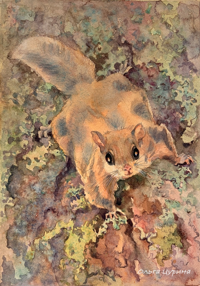 “Серая ночь» Юрий Коваль, АСТ, 2025