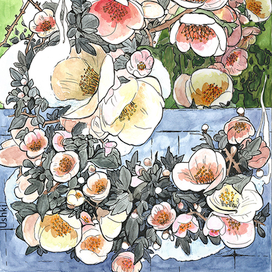 Японская айва, выглядывающая из-за забора