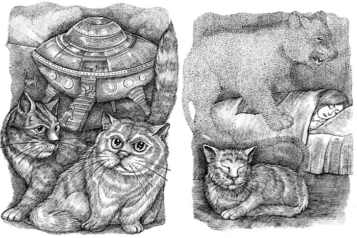 Космические коты