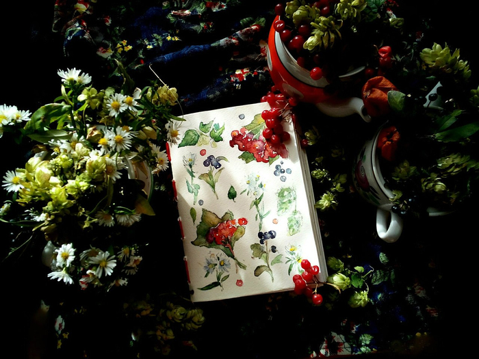 калинорябина