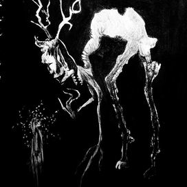 Собака в кустах