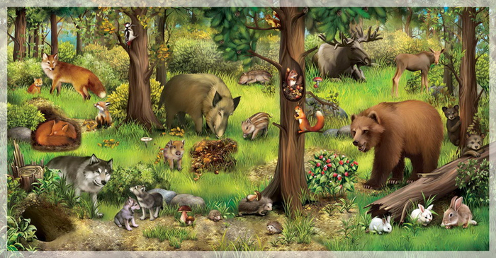 Иллюстрации для книги про животных. В лесу