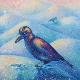 Птичья зима