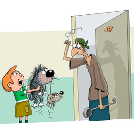 Возвращение блудного кота