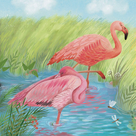 Кто как спит. Издательство Робинс