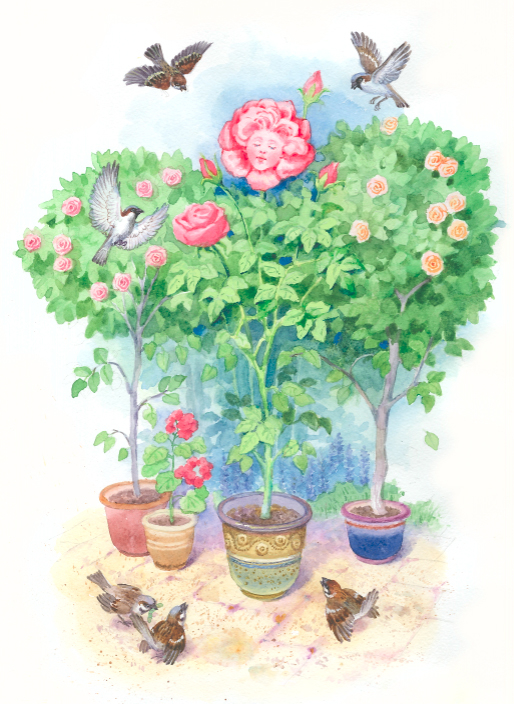 Воробьи и роза