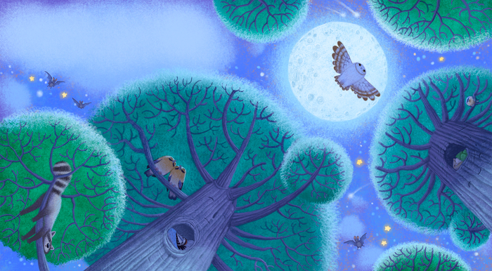 Ночной полет