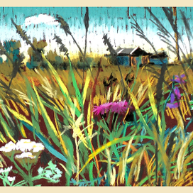 очередные травки