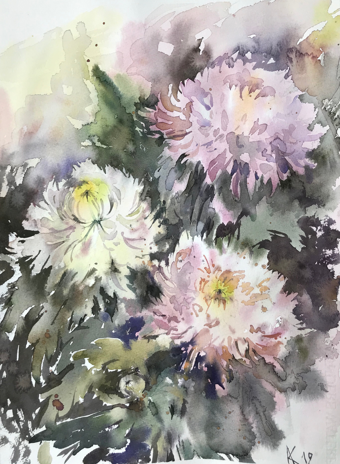 Хризантемы 