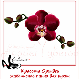 Красота Орхидеи живописное панно