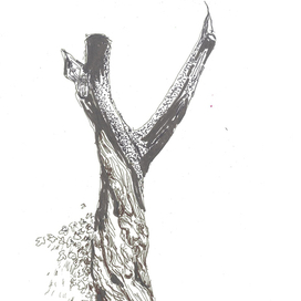 Одинокое дерево