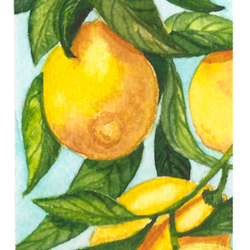 Лимоны