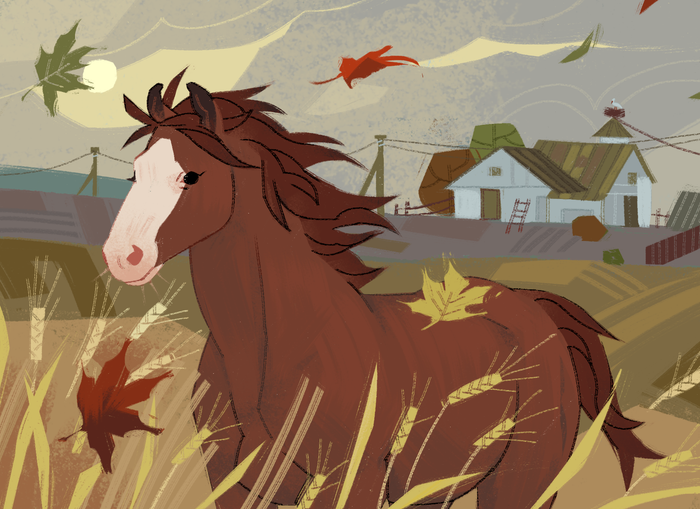 Осеннее поле 