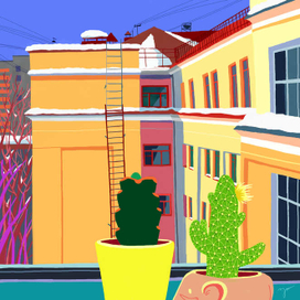 Вид из окна