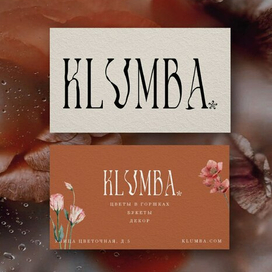 Разработка визитки 