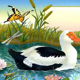 "Un Nido Para Dos" Испанская детская сказка