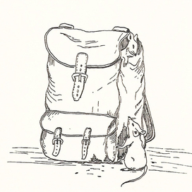 Любопытные