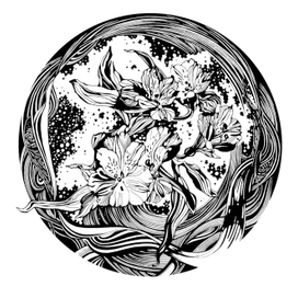 Лилии инков