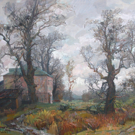 Суздаль. Старые деревья. 