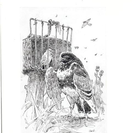 Иллюстрация к басне "Чиж и голубь"