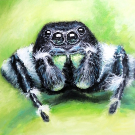 Картина Паук